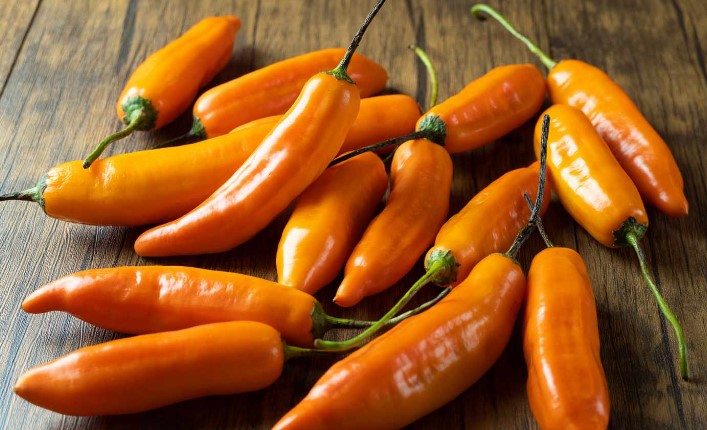 Fresh Fruits and Vegetables